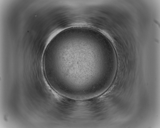 X0000096941440200802151205