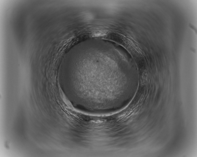 X0000096941441200802151204