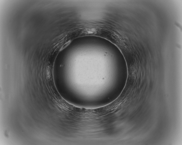 X0000096941442200802151204