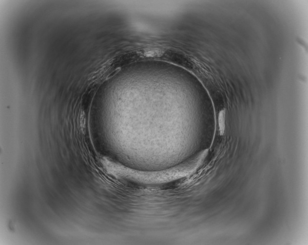 X0000096941443200802151204