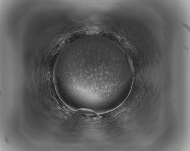 X0000096941445200802151204
