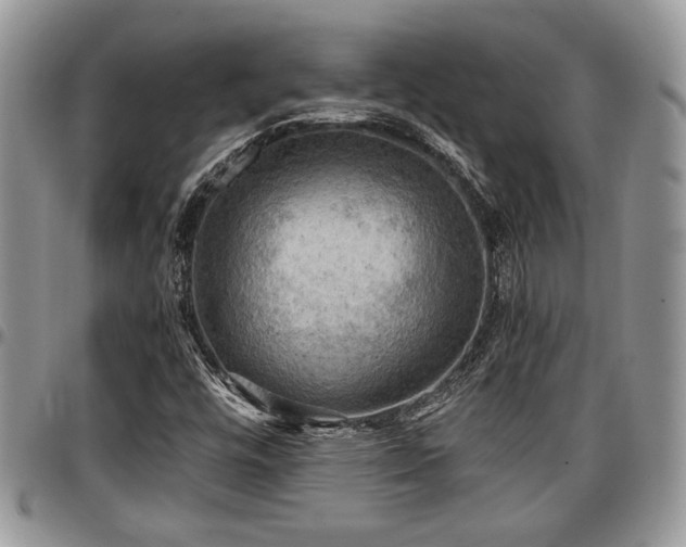 X0000096941448200802151204