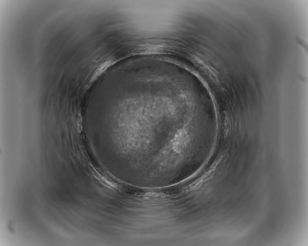 X0000096941449200802151204