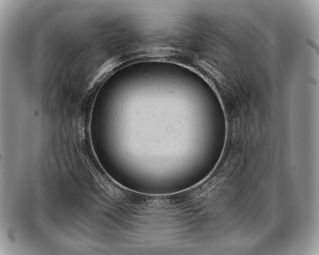 X0000096941451200802151204