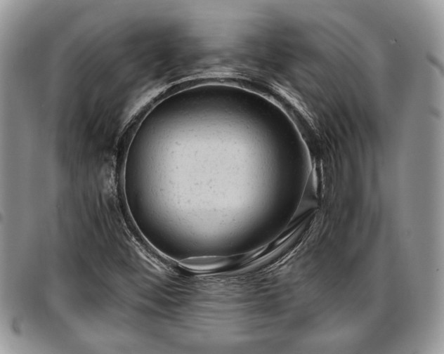 X0000096941452200802151204