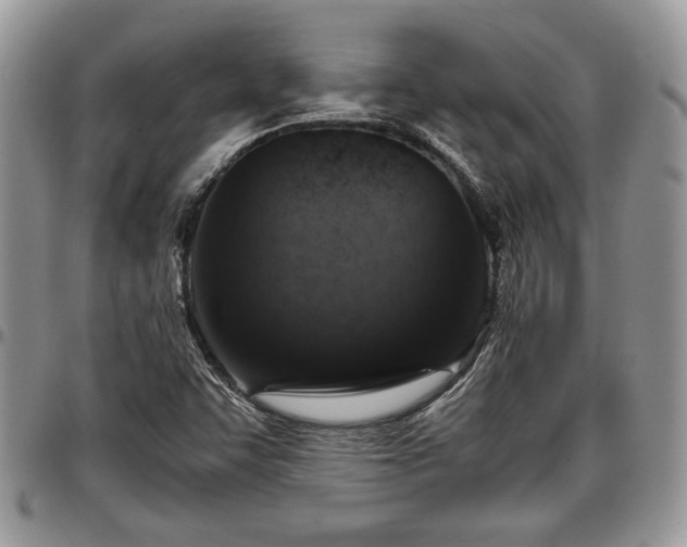 X0000096941455200802151204