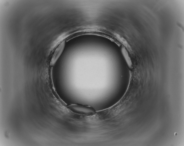 X0000096941456200802151204