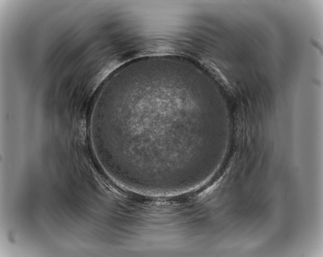 X0000096941457200802151204