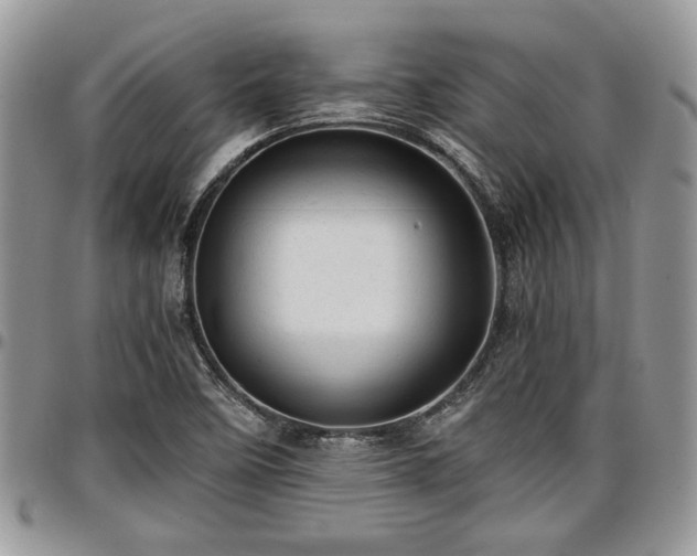 X0000096941458200802151204