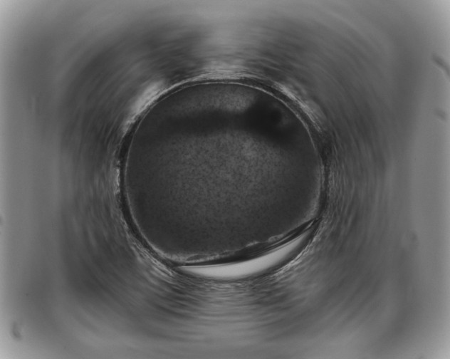 X0000096941459200802151204