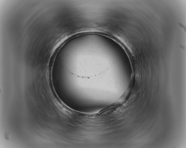 X0000096941460200802151204