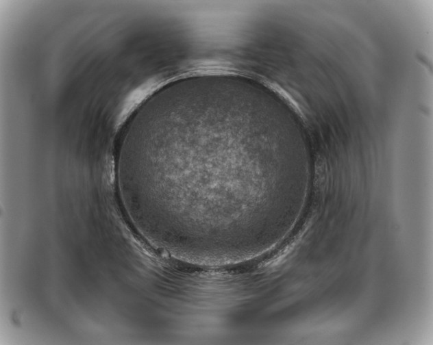 X0000096941461200802151204