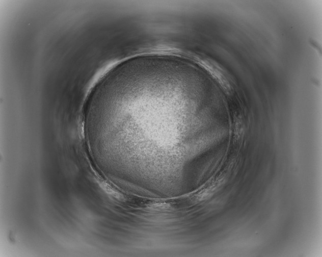 X0000096941462200802151204