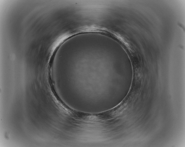 X0000096941463200802151204