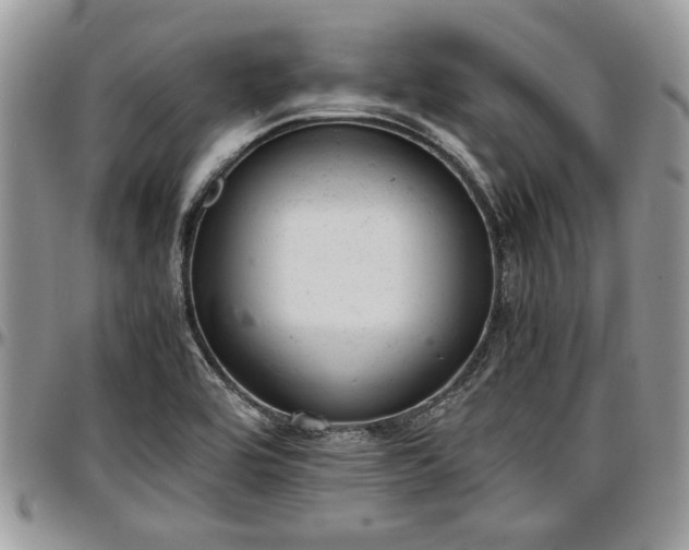X0000096941464200802151204