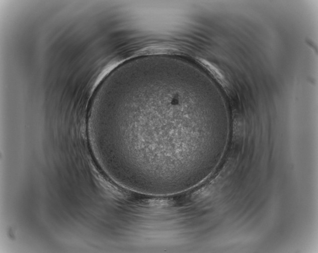 X0000096941465200802151204