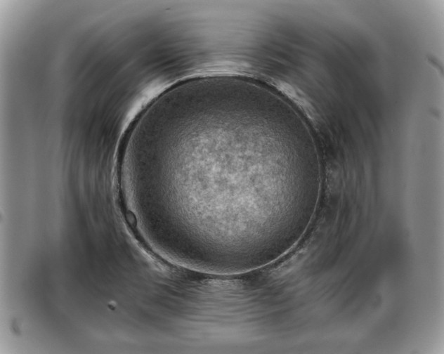 X0000096941469200802151204