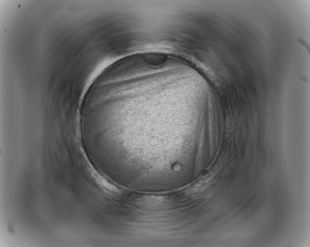 X0000096941470200802151204