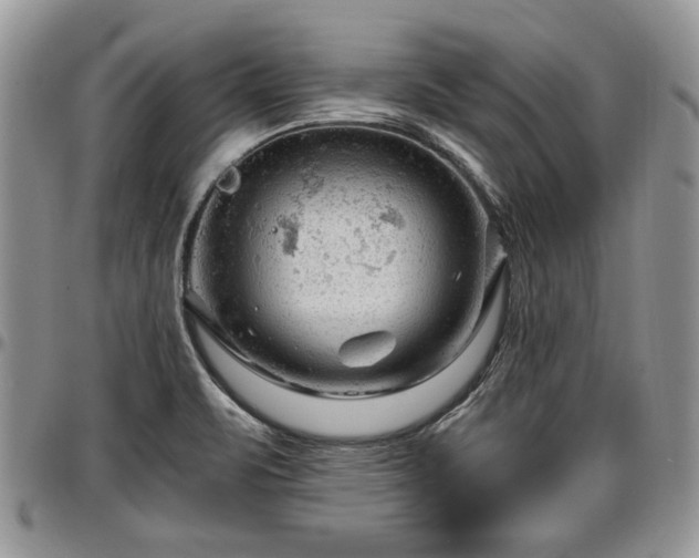 X0000096941471200802151204