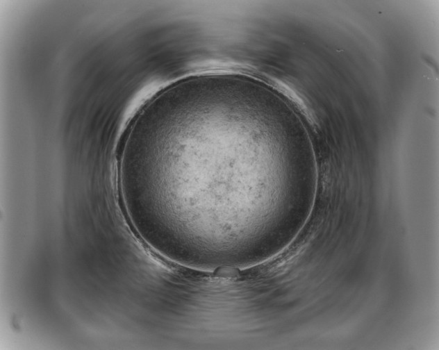 X0000096941472200802151203