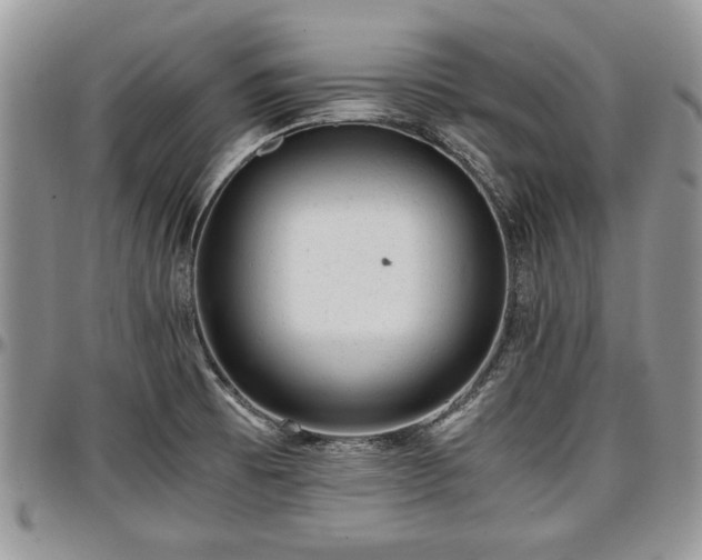 X0000096941473200802151203
