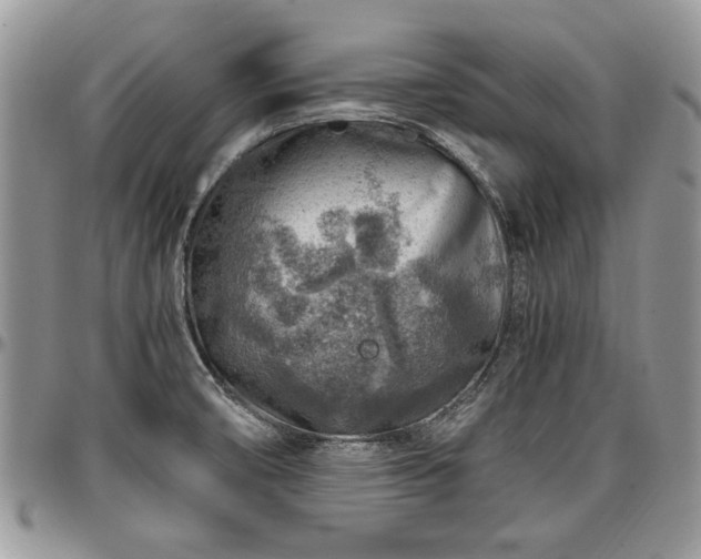 X0000096941474200802151203