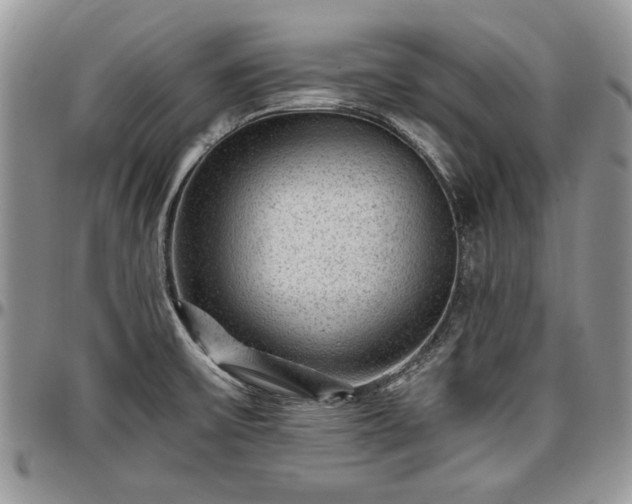 X0000096941475200802151203