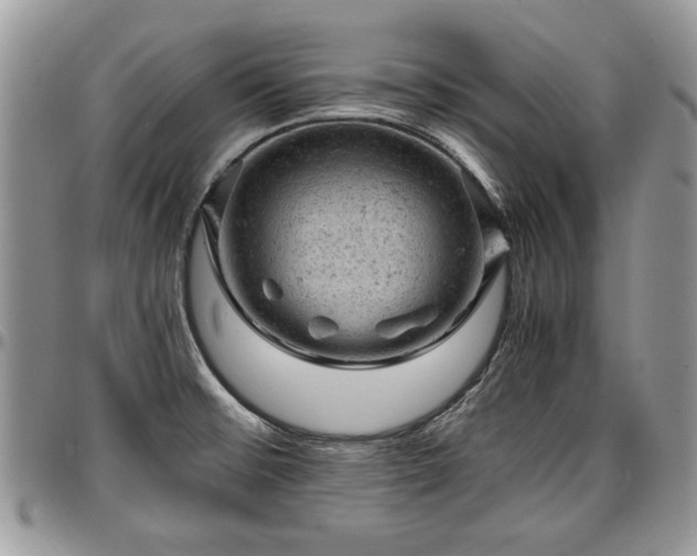 X0000096941476200802151203