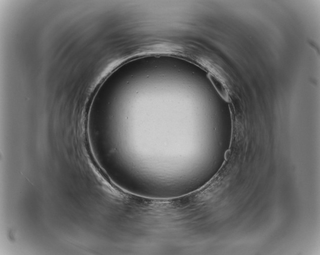 X0000096941477200802151203