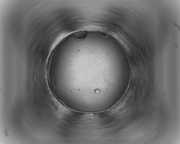 X0000096941478200802151203