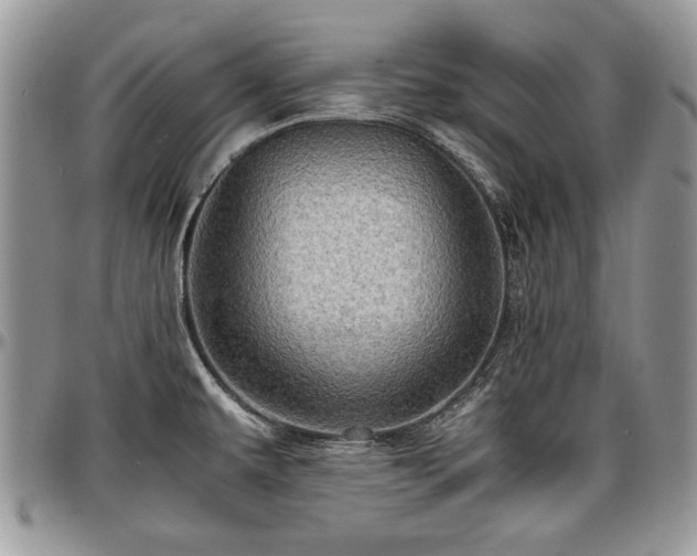 X0000096941479200802151203