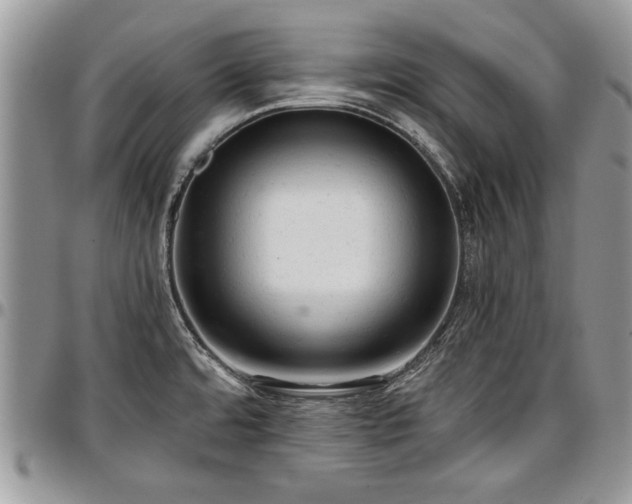 X0000096941480200802151203