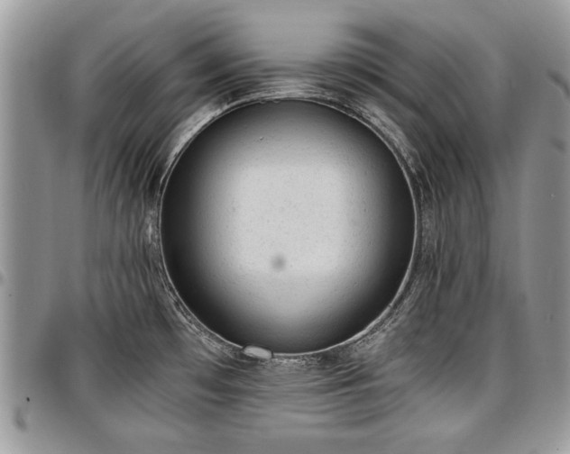 X0000096941481200802151203