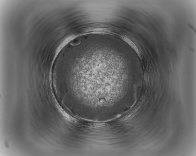 X0000096941482200802151203