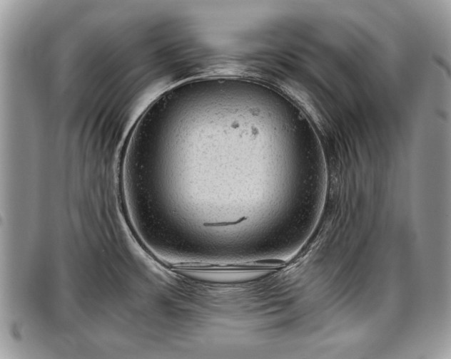 X0000096941483200802151203