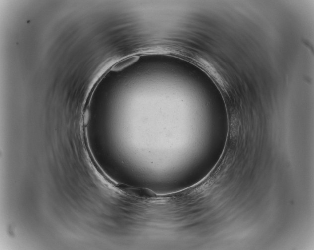 X0000096941484200802151203