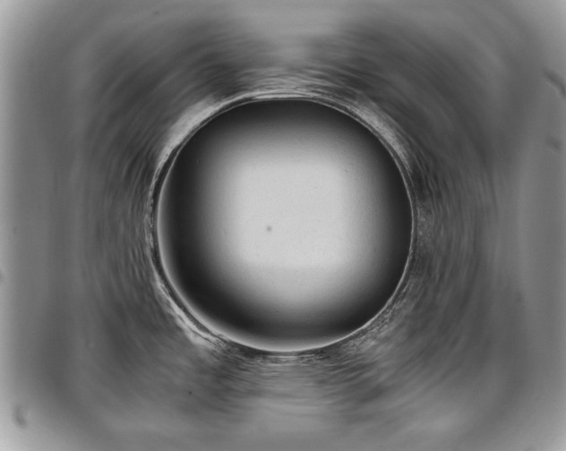 X0000096941485200802151203