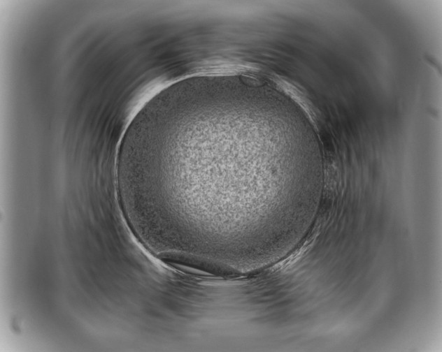 X0000096941487200802151203