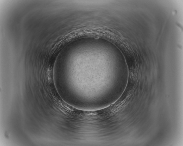 X0000096941490200802151203