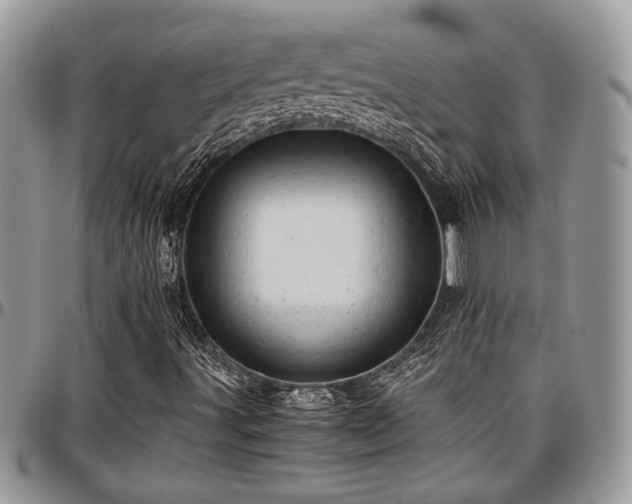 X0000096941491200802151203