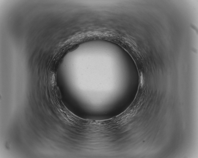 X0000096941492200802151203