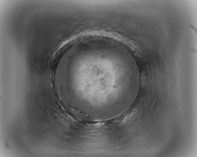 X0000096941494200802151203