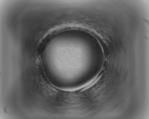 X0000096941495200802151203