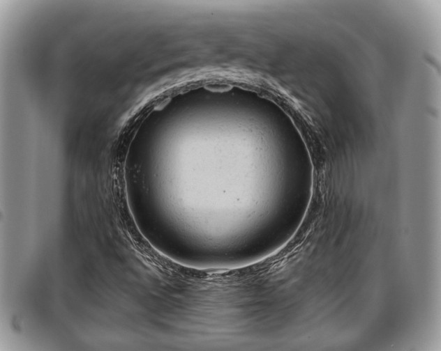 X0000096941496200802151203