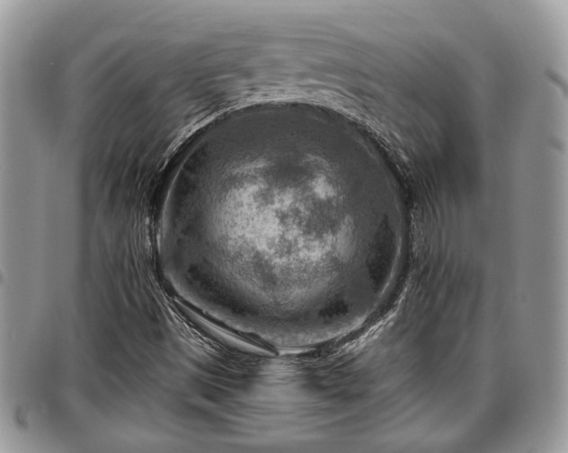 X0000096941497200802151203