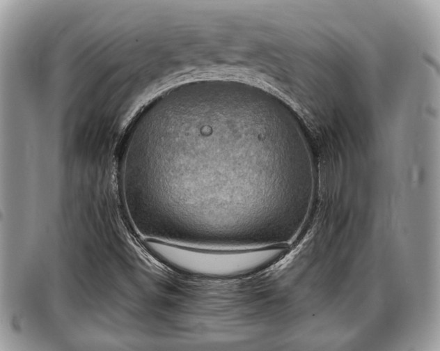 X0000096941498200802151203