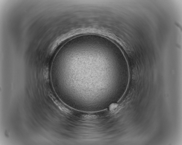 X0000096941499200802151203
