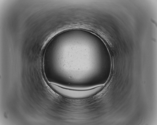 X0000096941500200802151203