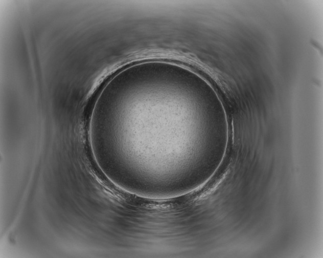 X0000096941501200802151203