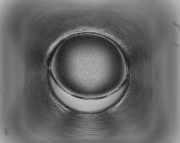 X0000096941502200802151203